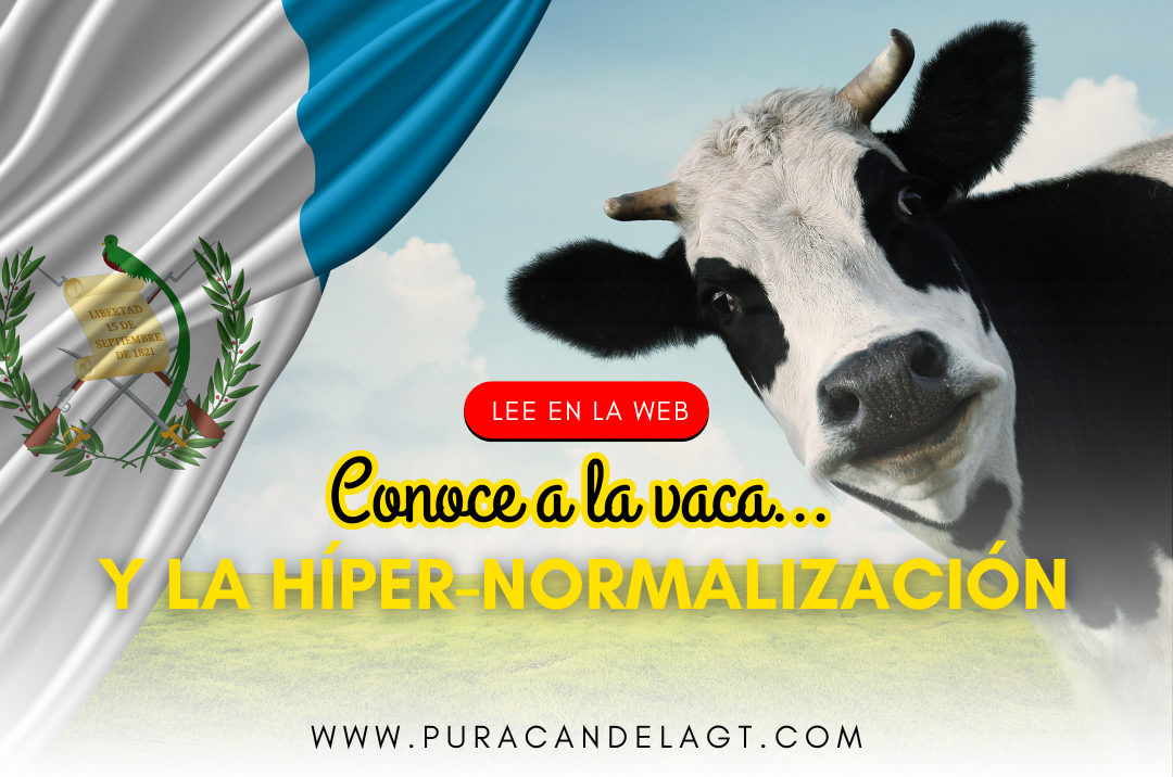 Conoce a la vaca… y la híper-normalización